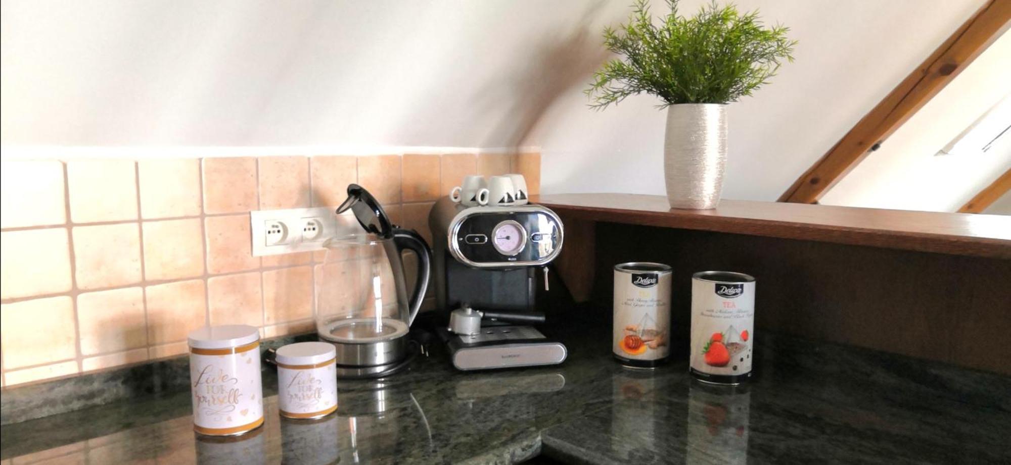 Apartamento Historický dům u lázní Třeboň Habitación foto